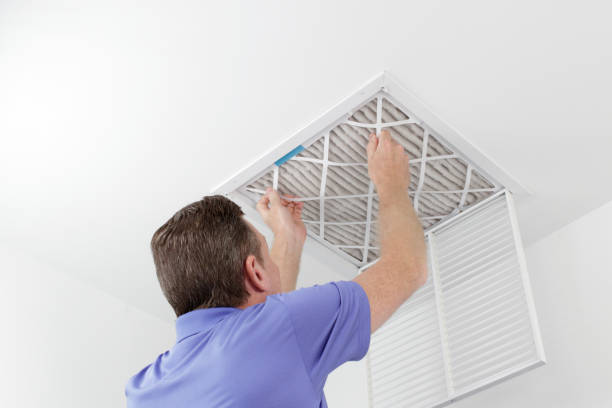 Best Professional Duct Cleaning Services  in West Brattleboro, VT